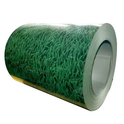 Dx51d Z100 Z275 0.12mm/0.2mm/0.3mm/0.4mm/0.5mm/0.6mm/0.7mm/0.8mm/0.9mm/1.0mm/1.2mm Thick Factory Direct Supply PPGI/PPGL